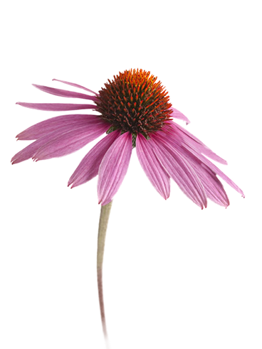 Industrias Via Lactea