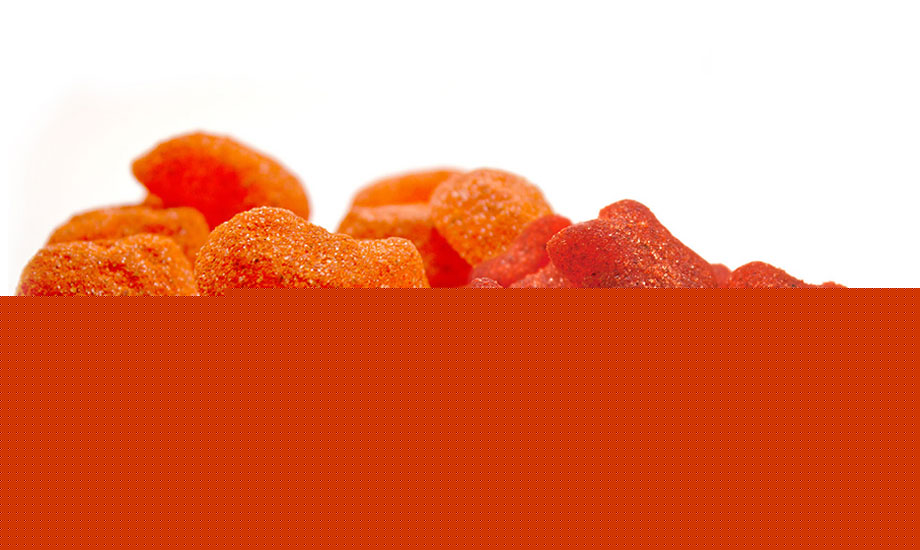 Industrias Via Lactea